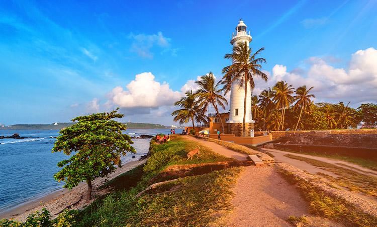 Российские туристы смогут сделать визу на Шри-Ланку бесплатно | TURIZM